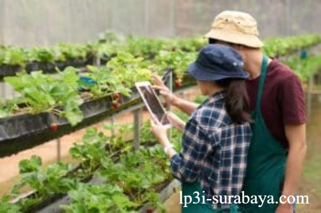 Jurusan Bioentrepreneurship: Prospek Karier dan Peluangnya